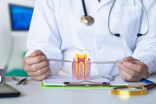 Best Pediatric Emergency Dentist in Mosheim, TN